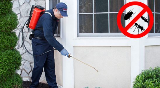 Ovacık Dezenfeksiyon böcek ilaçlama ve haşere kontrolü — ilaclama-tr.com